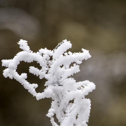 Photo #3910904