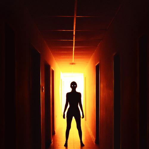 Photo #3910985