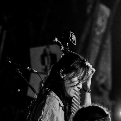 Photo #3911077