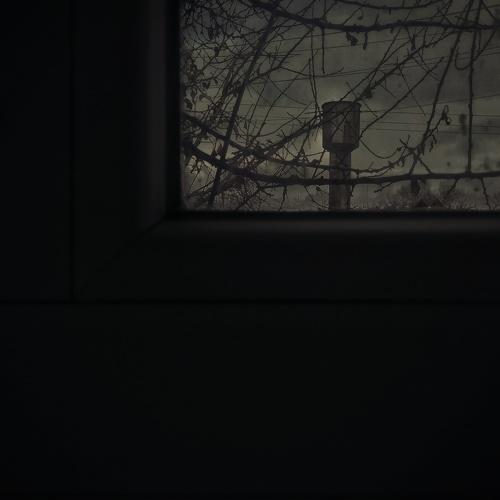 Photo #3911238