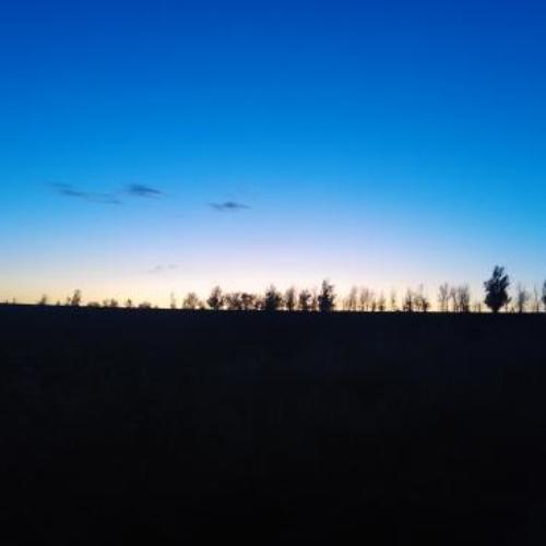Photo #3911252