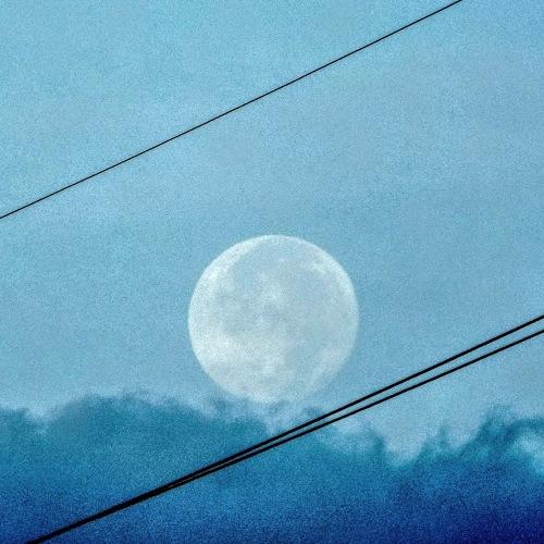 Photo #3911275