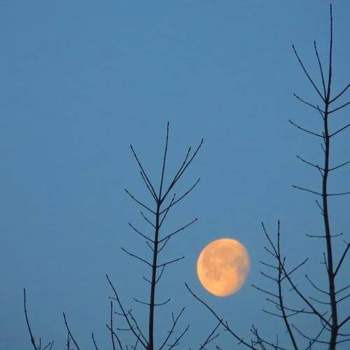 Photo #3911277