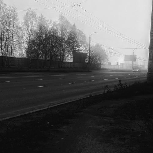 Photo #3911332