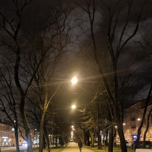 Photo #3911343