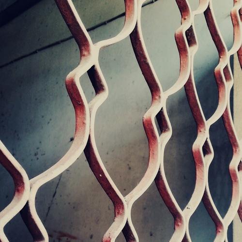 Photo #3911530