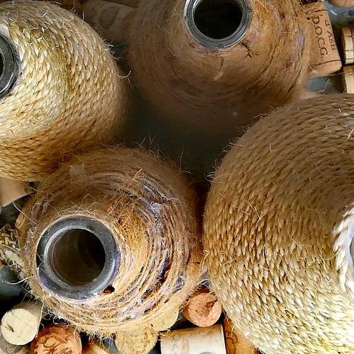 Photo #3911532