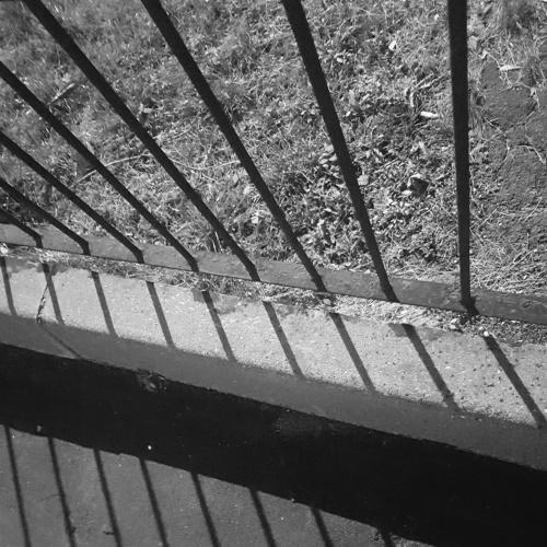 Photo #3911724