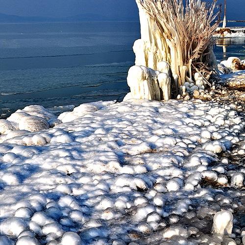 Photo #3912206