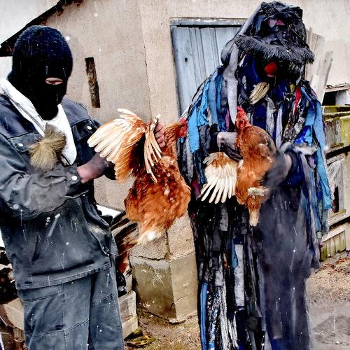 Photo #3912252