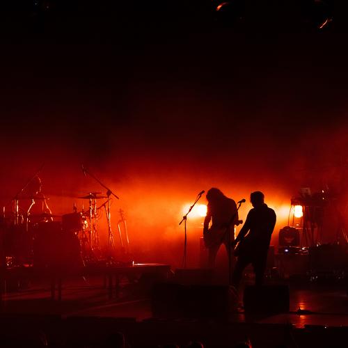 Photo #3912334