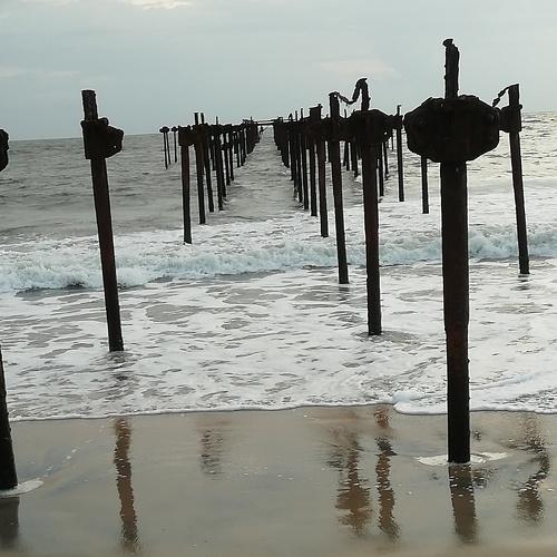 Photo #3912713