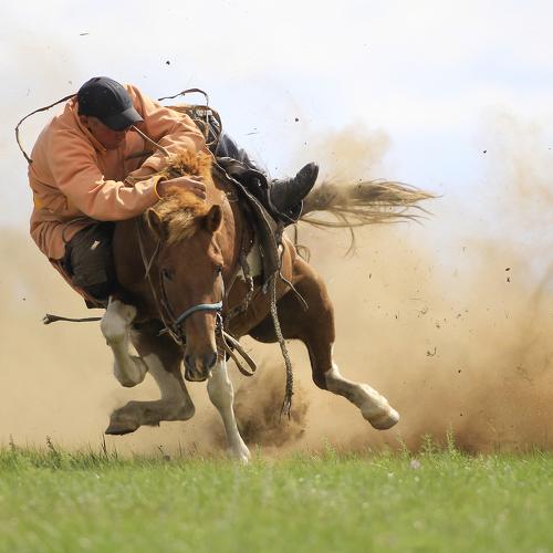 Photo #3912731