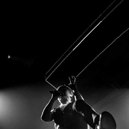 Photo #3913328