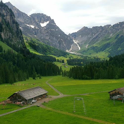 Heaven on The Earth