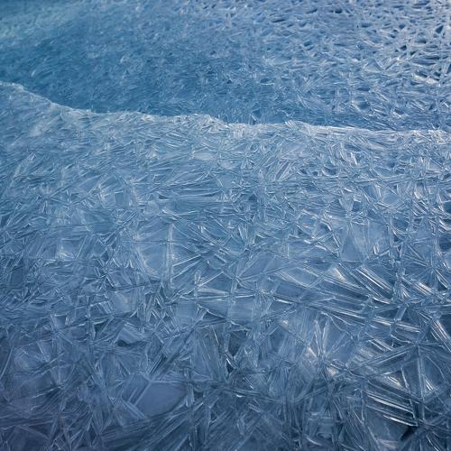 Photo #3914456
