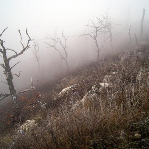 Photo #3914550