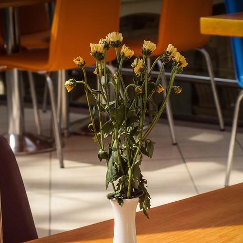 Photo #3914629