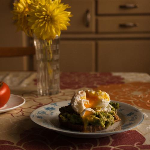 Photo #3915271