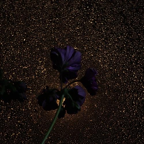 Photo #3915318
