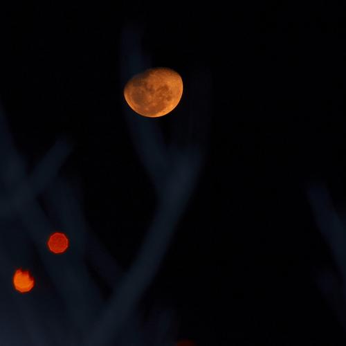 Photo #3915638