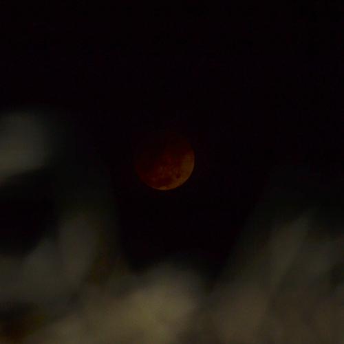 Photo #3915643