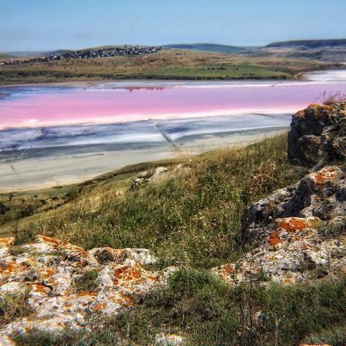 Photo #3916456