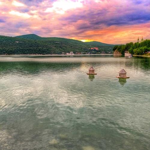 Photo #3916457