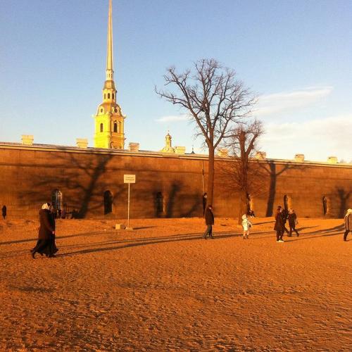 Photo #3916475