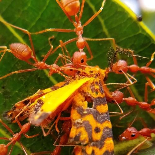 Photo #3917722