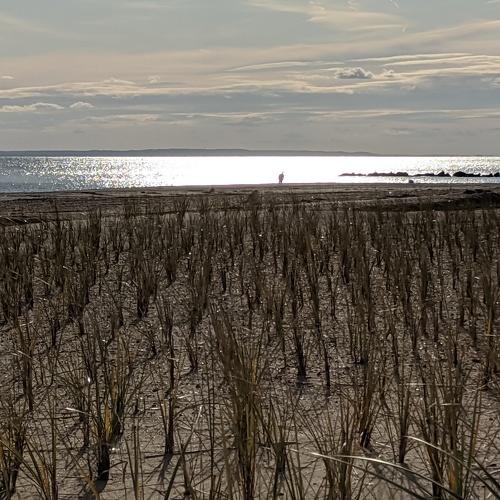Photo #3918118