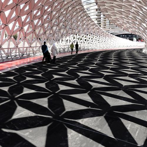 Photo #3919176