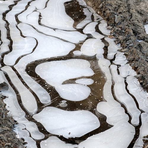 Photo #3919219