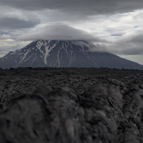 Photo #3919300