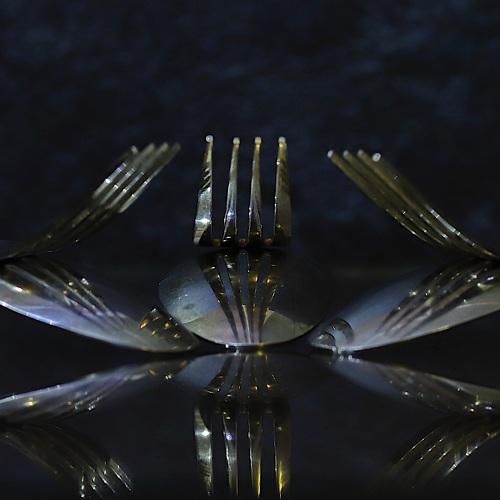 Photo #3919346