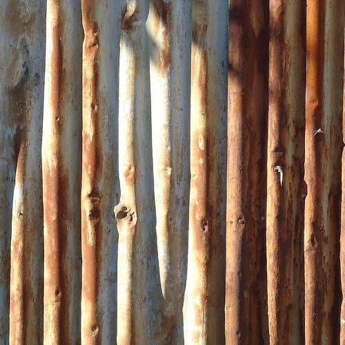 Photo #3919982