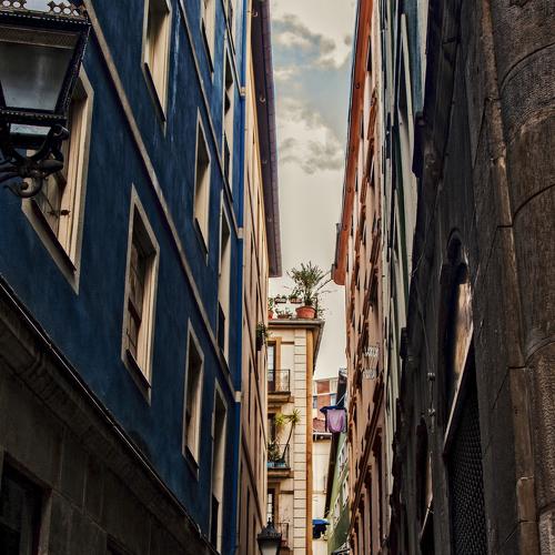 Photo #3920247