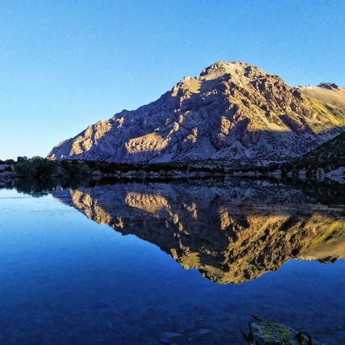 Photo #3920674