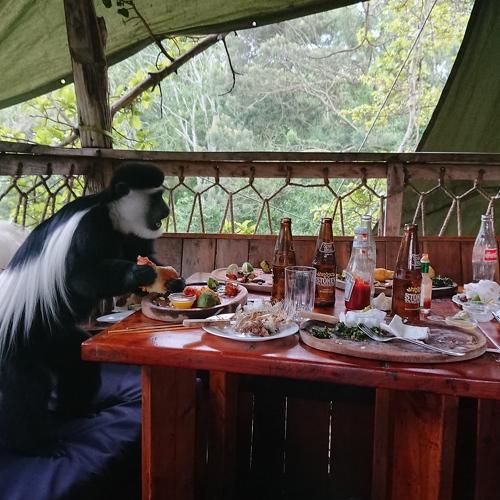 Photo #3921460