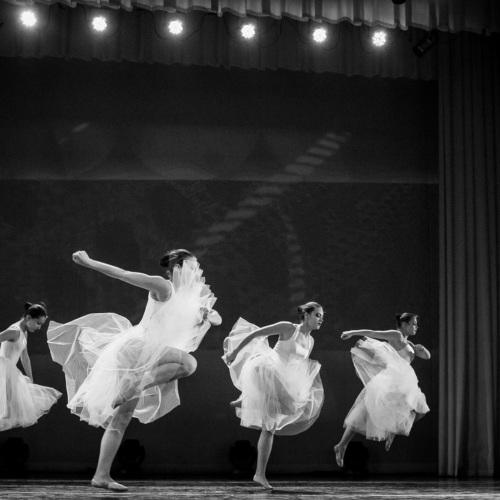 Photo #3921918