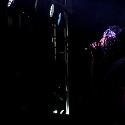 Photo #3922688