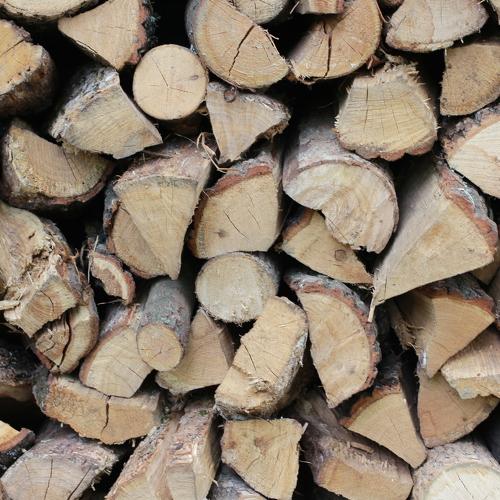 Photo #3922755