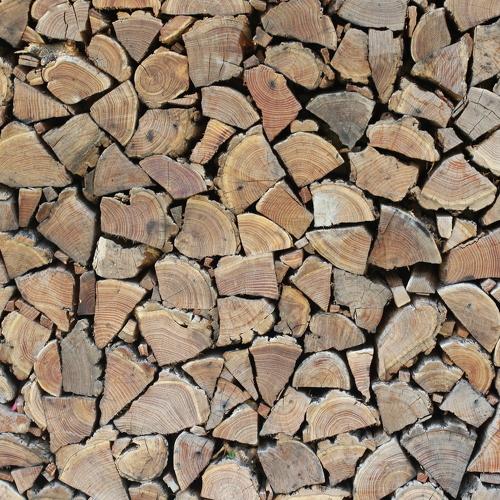 Photo #3922756