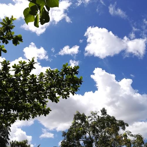 Bluesky