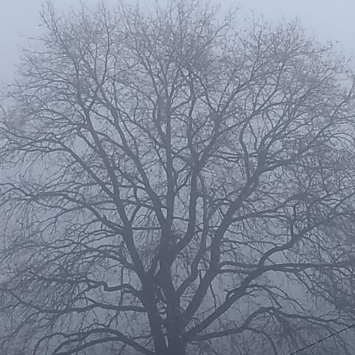 Photo #3923328