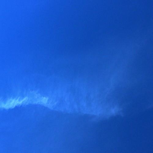 Photo #3923758