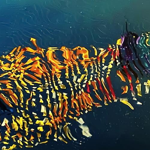 Photo #3924142