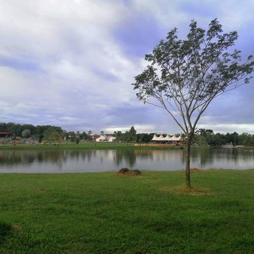 Photo #3924367