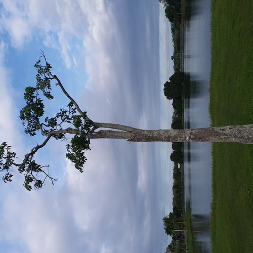 Photo #3924369