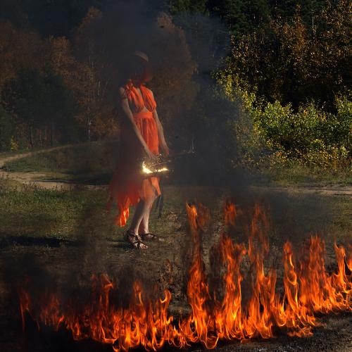 Photo #3924539